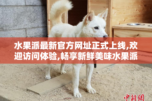水果派最新官方网址正式上线,欢迎访问体验,畅享新鲜美味水果派,尽