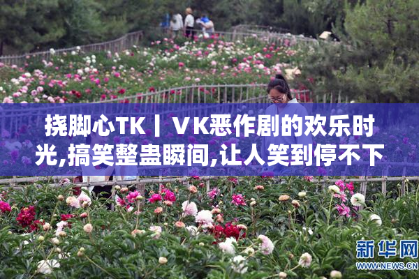 挠脚心TK丨ⅤK恶作剧的欢乐时光,搞笑整蛊瞬间,让人笑到停不下来