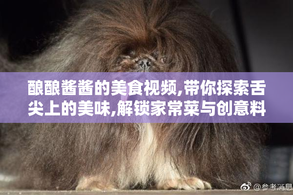 酿酿酱酱的美食视频,带你探索舌尖上的美味,解锁家常菜与创意料理
