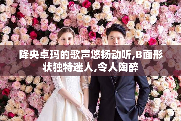 降央卓玛的歌声悠扬动听,B面形状独特迷人,令人陶醉