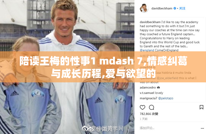 陪读王梅的性事1 mdash 7,情感纠葛与成长历程,爱与欲望的