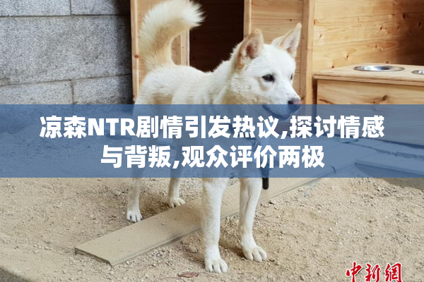 凉森NTR剧情引发热议,探讨情感与背叛,观众评价两极
