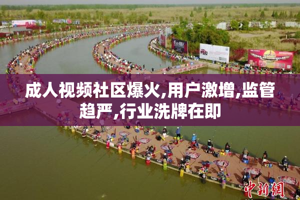成人视频社区爆火,用户激增,监管趋严,行业洗牌在即