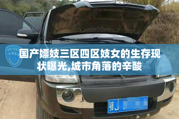 国产嫖妓三区四区妓女的生存现状曝光,城市角落的辛酸