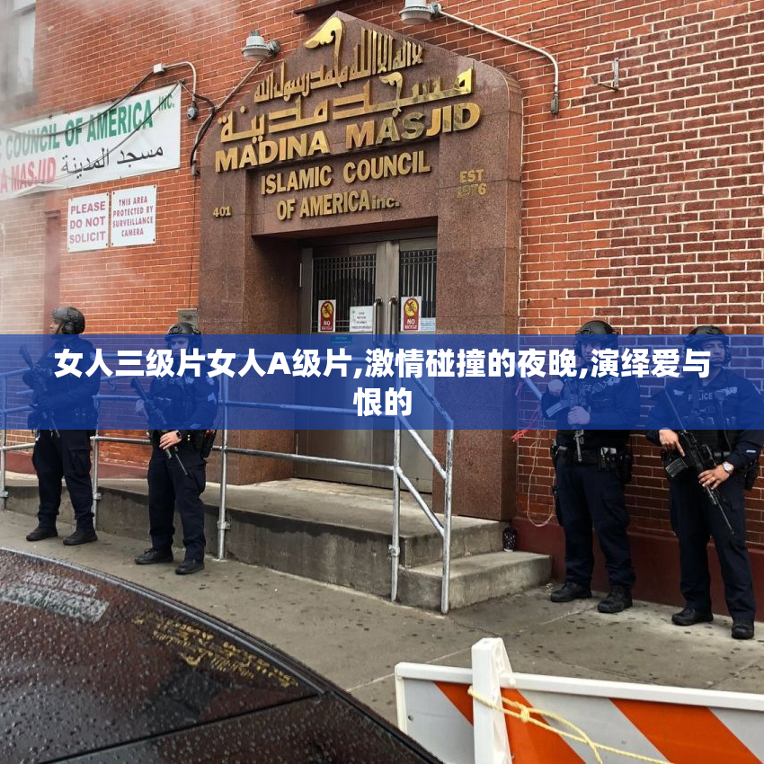 女人三级片女人A级片,激情碰撞的夜晚,演绎爱与恨的