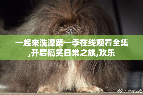 一起来洗澡第一季在线观看全集,开启搞笑日常之旅,欢乐
