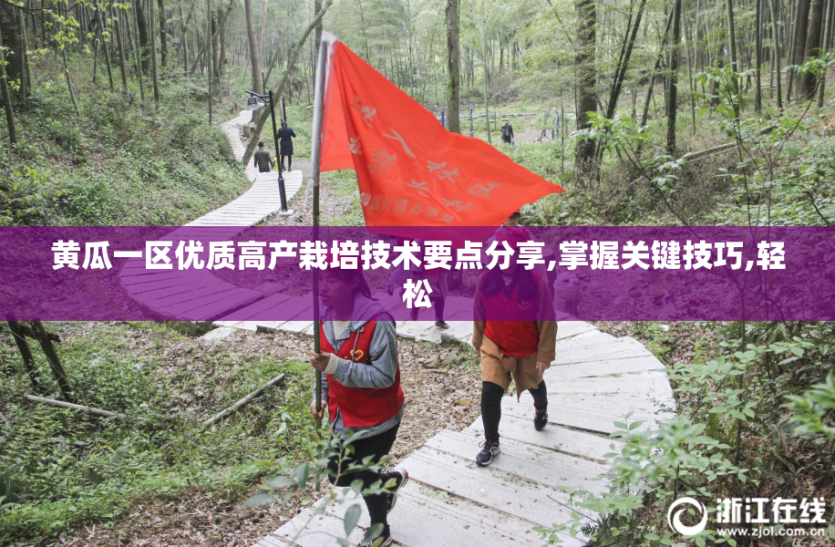 黄瓜一区优质高产栽培技术要点分享,掌握关键技巧,轻松