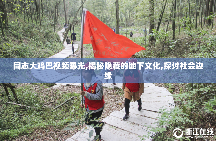 同志大鸡巴视频曝光,揭秘隐藏的地下文化,探讨社会边缘