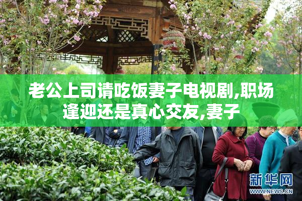 老公上司请吃饭妻子电视剧,职场逢迎还是真心交友,妻子