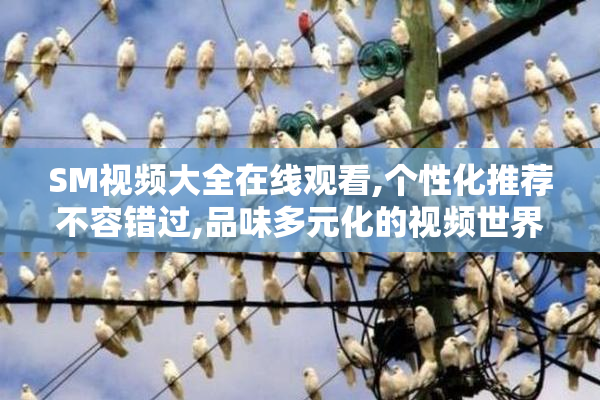 SM视频大全在线观看,个性化推荐不容错过,品味多元化的视频世界,尽