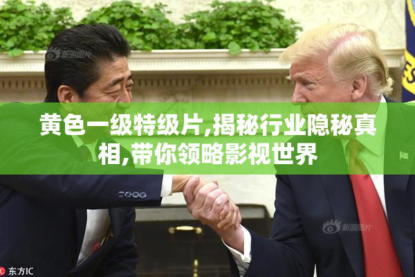 黄色一级特级片,揭秘行业隐秘真相,带你领略影视世界