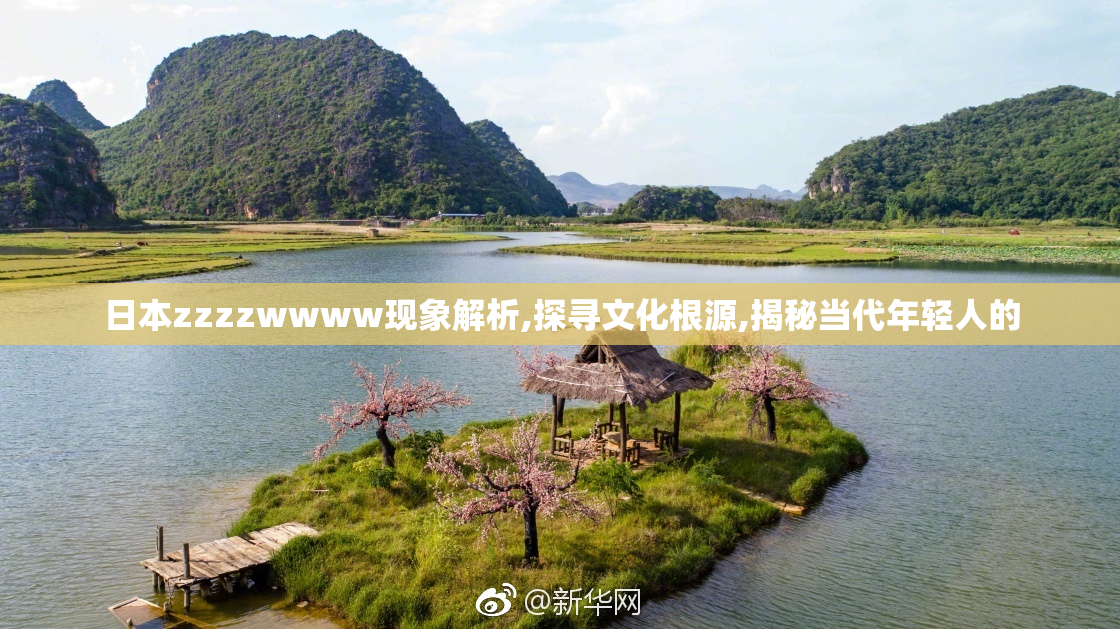 日本zzzzwwww现象解析,探寻文化根源,揭秘当代年轻人的