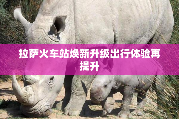 拉萨火车站焕新升级出行体验再提升