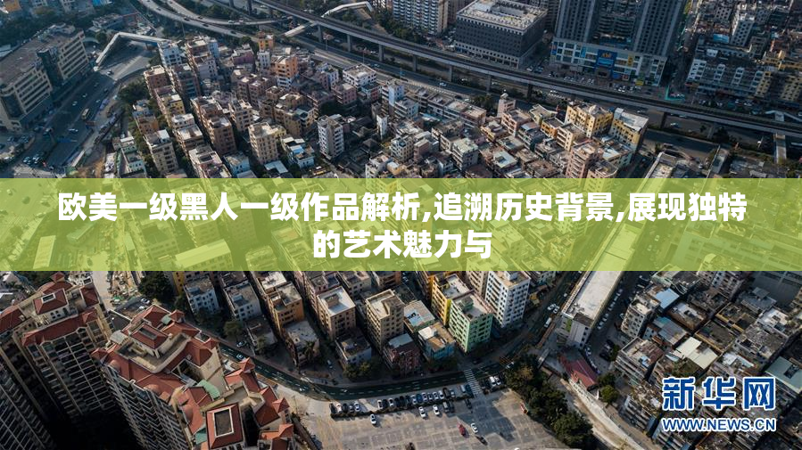 欧美一级黑人一级作品解析,追溯历史背景,展现独特的艺术魅力与