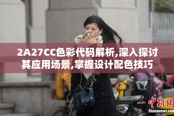 2A27CC色彩代码解析,深入探讨其应用场景,掌握设计配色技巧