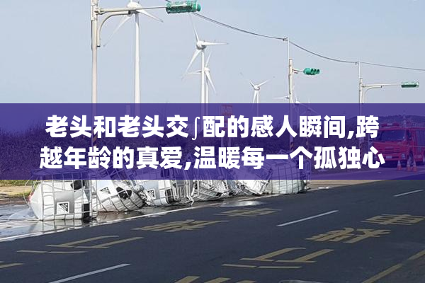 老头和老头交∫配的感人瞬间,跨越年龄的真爱,温暖每一个孤独心灵