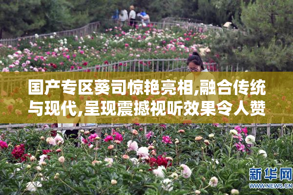 国产专区葵司惊艳亮相,融合传统与现代,呈现震撼视听效果令人赞叹