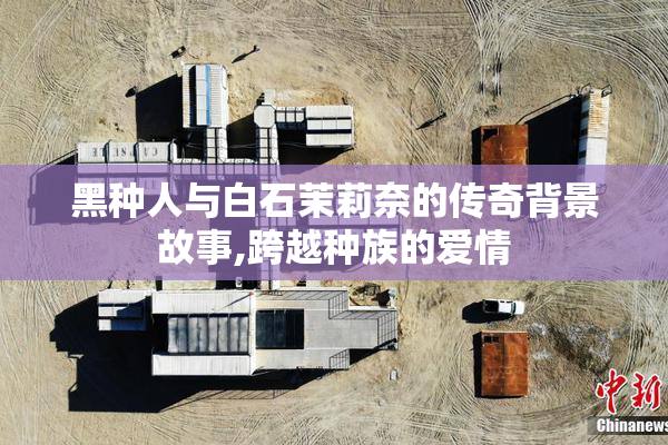 黑种人与白石茉莉奈的传奇背景故事,跨越种族的爱情