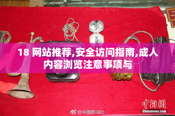 18 网站推荐,安全访问指南,成人内容浏览注意事项与