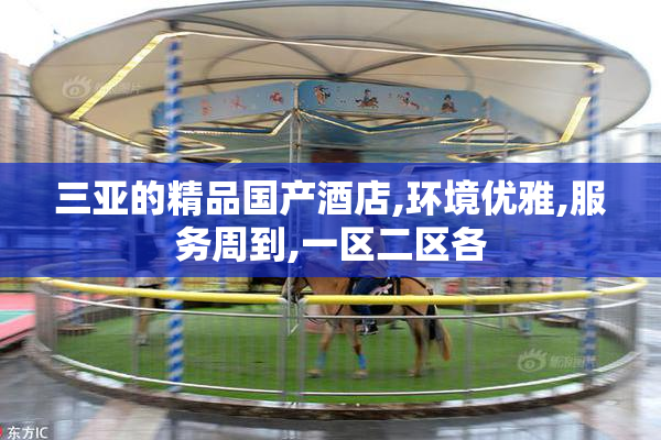 三亚的精品国产酒店,环境优雅,服务周到,一区二区各