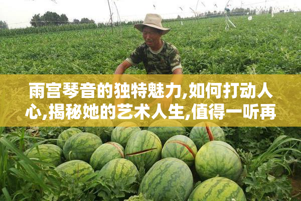 雨宫琴音的独特魅力,如何打动人心,揭秘她的艺术人生,值得一听再