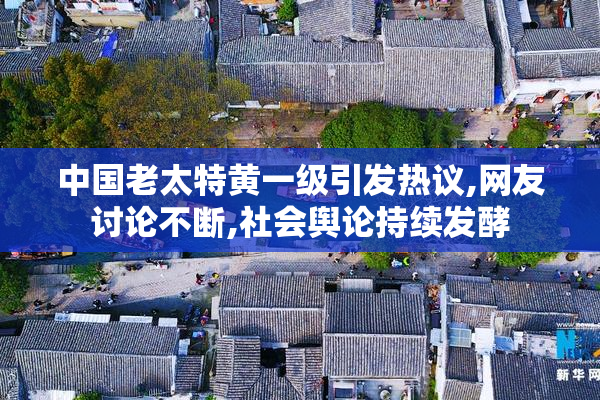 中国老太特黄一级引发热议,网友讨论不断,社会舆论持续发酵