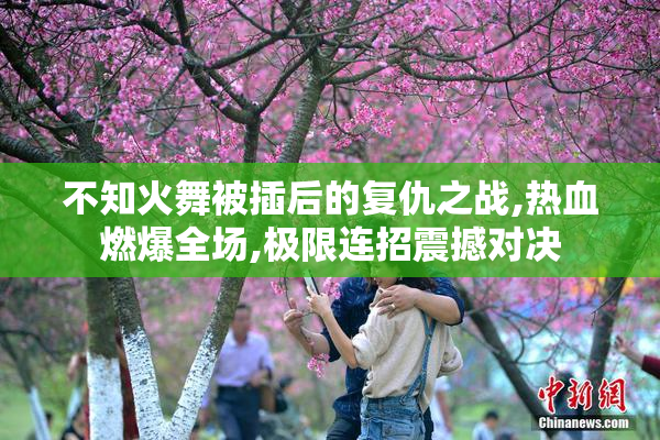 不知火舞被插后的复仇之战,热血燃爆全场,极限连招震撼对决