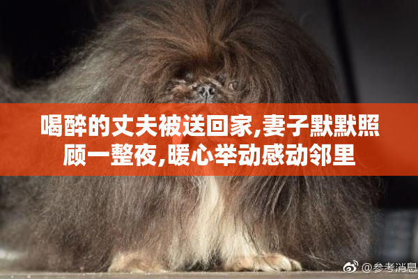 喝醉的丈夫被送回家,妻子默默照顾一整夜,暖心举动感动邻里