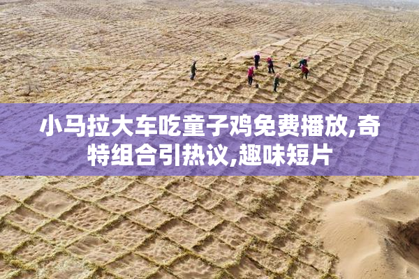 小马拉大车吃童子鸡免费播放,奇特组合引热议,趣味短片