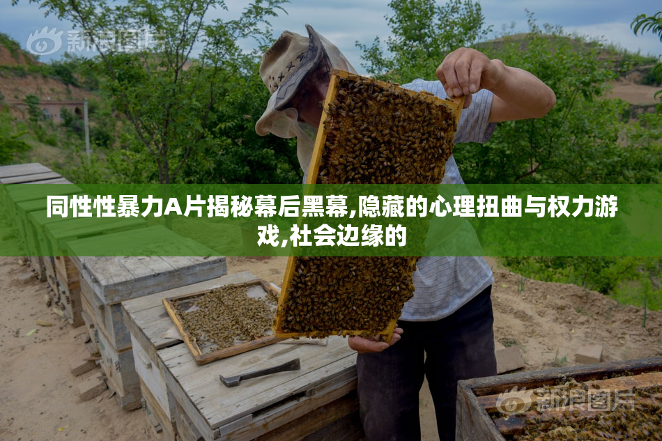 同性性暴力A片揭秘幕后黑幕,隐藏的心理扭曲与权力游戏,社会边缘的