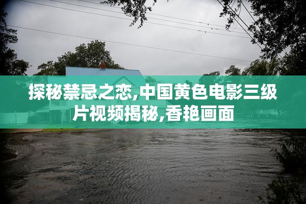 探秘禁忌之恋,中国黄色电影三级片视频揭秘,香艳画面
