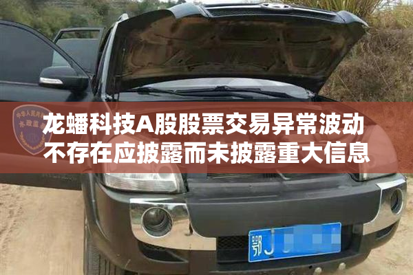 龙蟠科技A股股票交易异常波动 不存在应披露而未披露重大信息