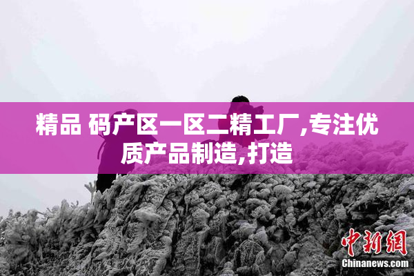 精品 码产区一区二精工厂,专注优质产品制造,打造