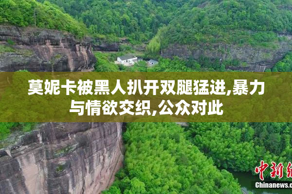 莫妮卡被黑人扒开双腿猛进,暴力与情欲交织,公众对此