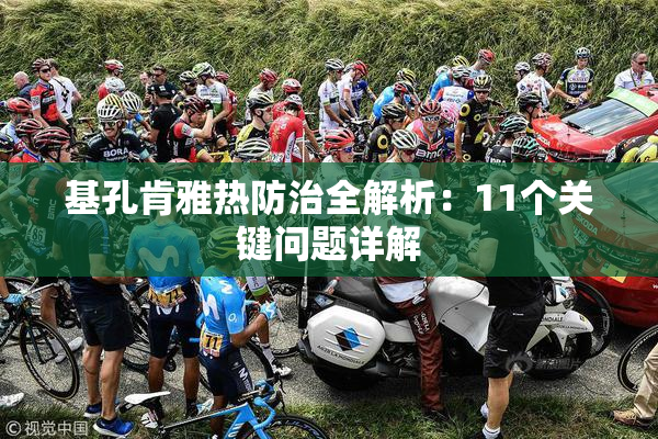 基孔肯雅热防治全解析：11个关键问题详解