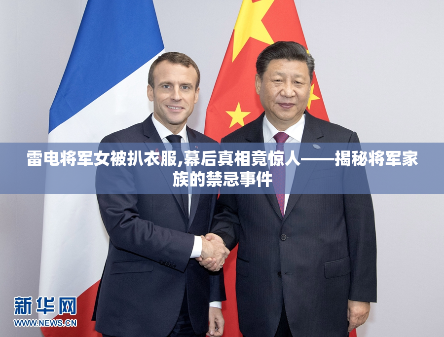 雷电将军女被扒衣服,幕后真相竟惊人——揭秘将军家族的禁忌事件