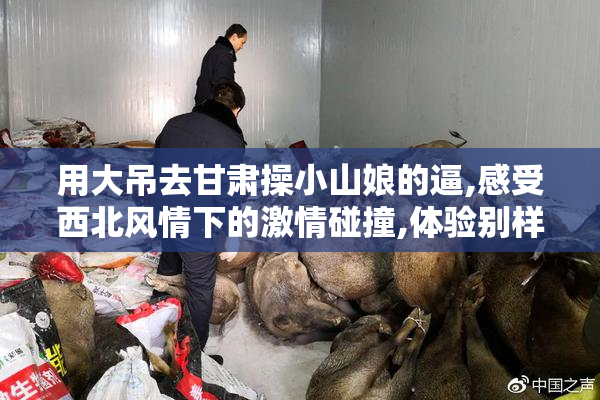用大吊去甘肃操小山娘的逼,感受西北风情下的激情碰撞,体验别样