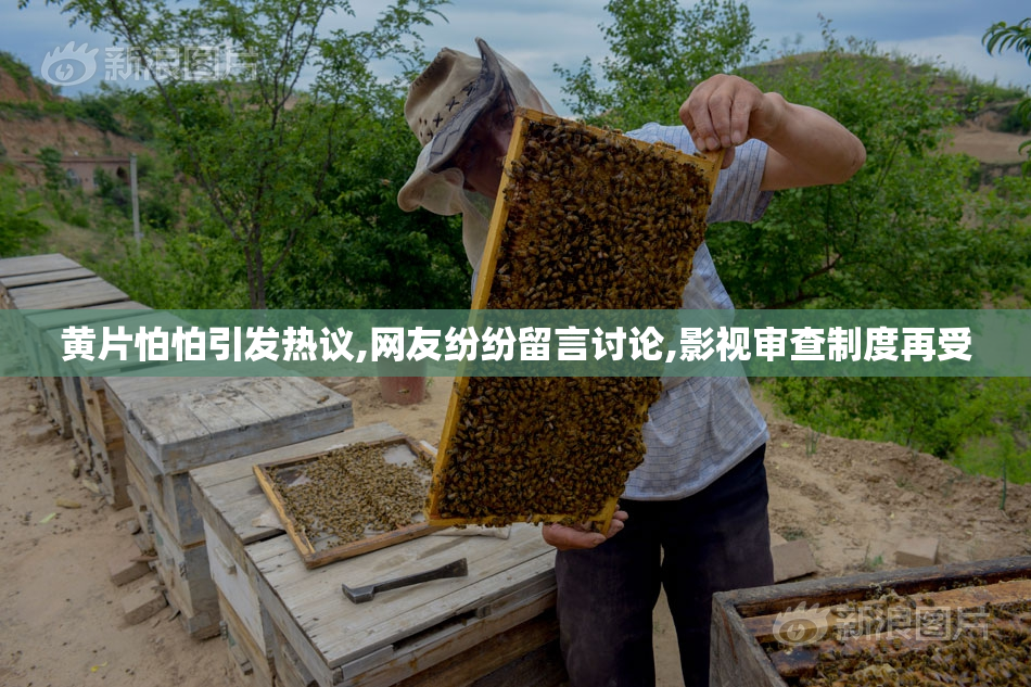 黄片怕怕引发热议,网友纷纷留言讨论,影视审查制度再受