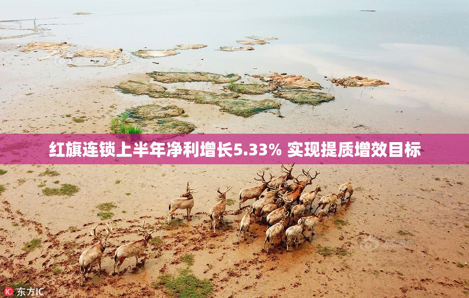 红旗连锁上半年净利增长5.33% 实现提质增效目标