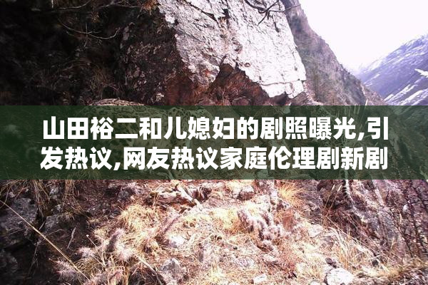 山田裕二和儿媳妇的剧照曝光,引发热议,网友热议家庭伦理剧新剧情