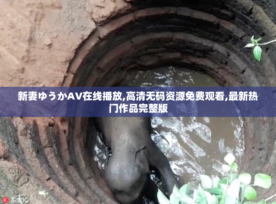 新妻ゆうかAV在线播放,高清无码资源免费观看,最新热门作品完整版