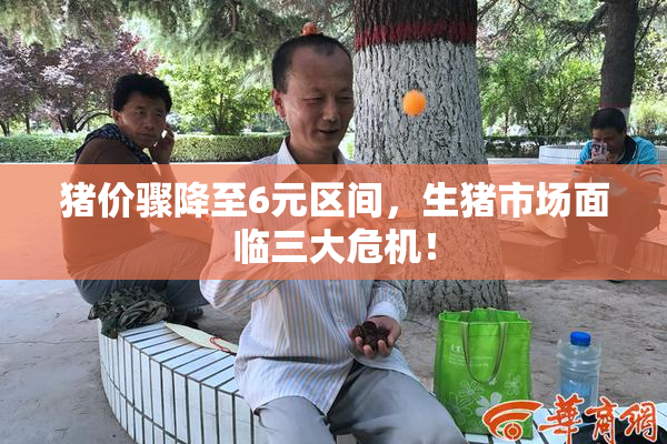 猪价骤降至6元区间，生猪市场面临三大危机！