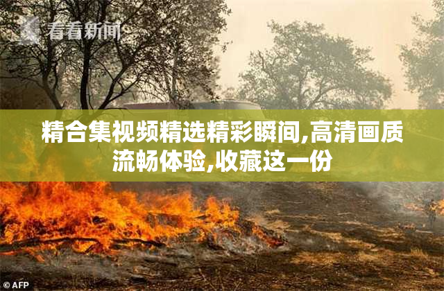 精合集视频精选精彩瞬间,高清画质流畅体验,收藏这一份