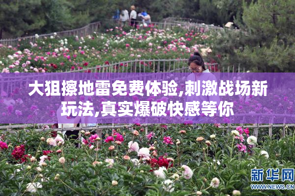 大狙擦地雷免费体验,刺激战场新玩法,真实爆破快感等你