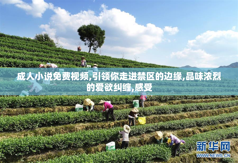成人小说免费视频,引领你走进禁区的边缘,品味浓烈的爱欲纠缠,感受