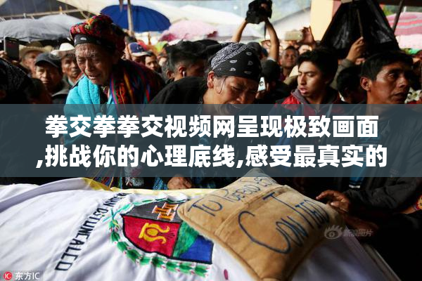 拳交拳拳交视频网呈现极致画面,挑战你的心理底线,感受最真实的