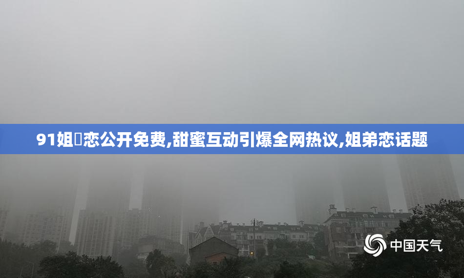 91姐弚恋公开免费,甜蜜互动引爆全网热议,姐弟恋话题