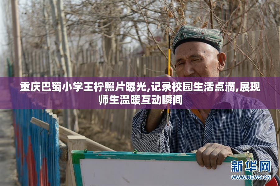 重庆巴蜀小学王柠照片曝光,记录校园生活点滴,展现师生温暖互动瞬间