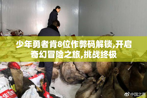 少年勇者肯8位作弊码解锁,开启奇幻冒险之旅,挑战终极