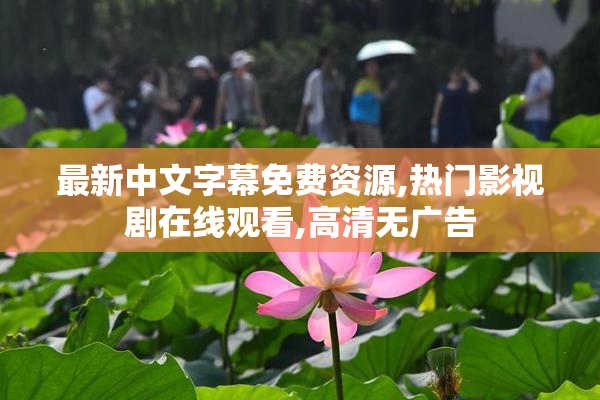 最新中文字幕免费资源,热门影视剧在线观看,高清无广告